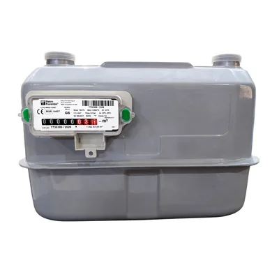 Pietro Fiorentini RS/2.4 Diaphragm Gas Meter G6